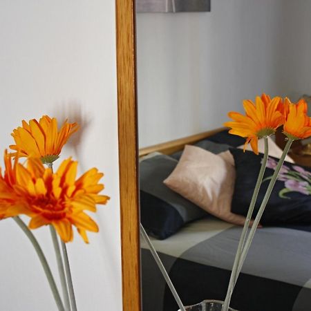 Apartament Sant Joan Sant Joan De Villatorrada Værelse billede